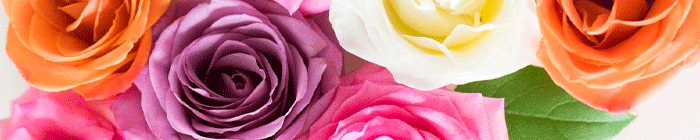 The purpose of flowers