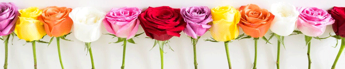 Find out when mother's day is