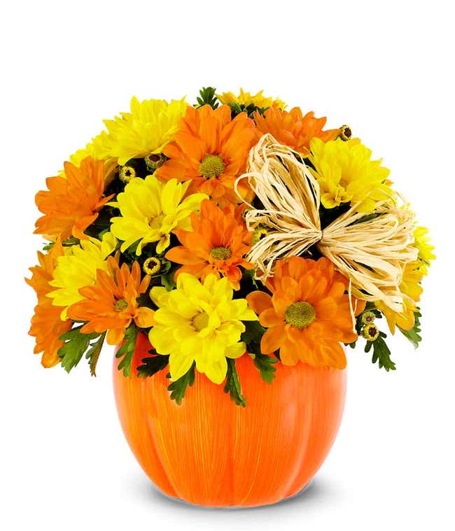 Yellow and orange daisies in pumpkin container