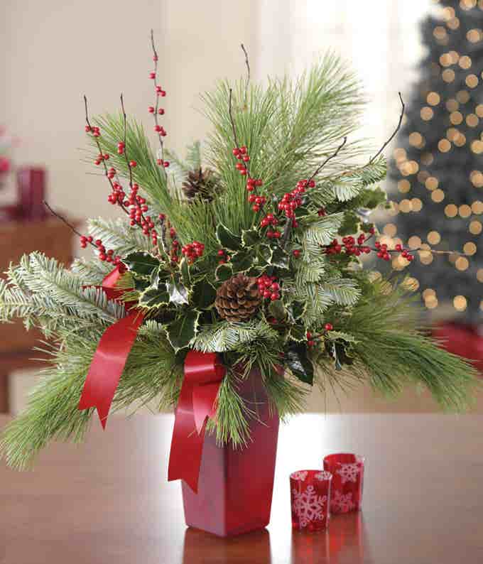 Everlasting Evergreen