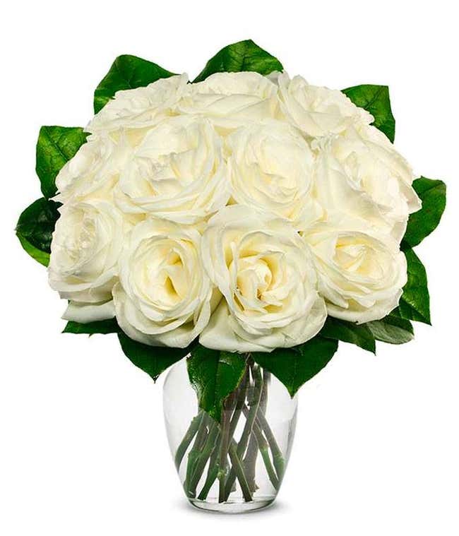 One Dozen White Roses