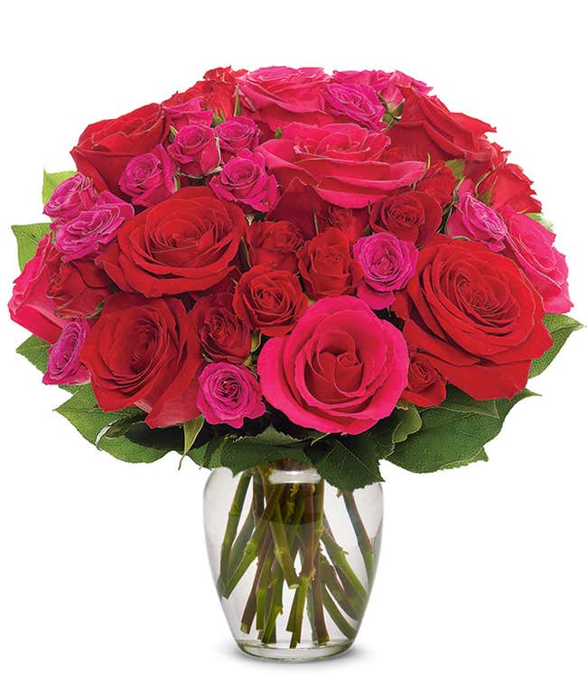 Rosy Delight 