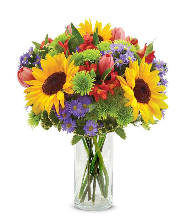 Sunflower Garden