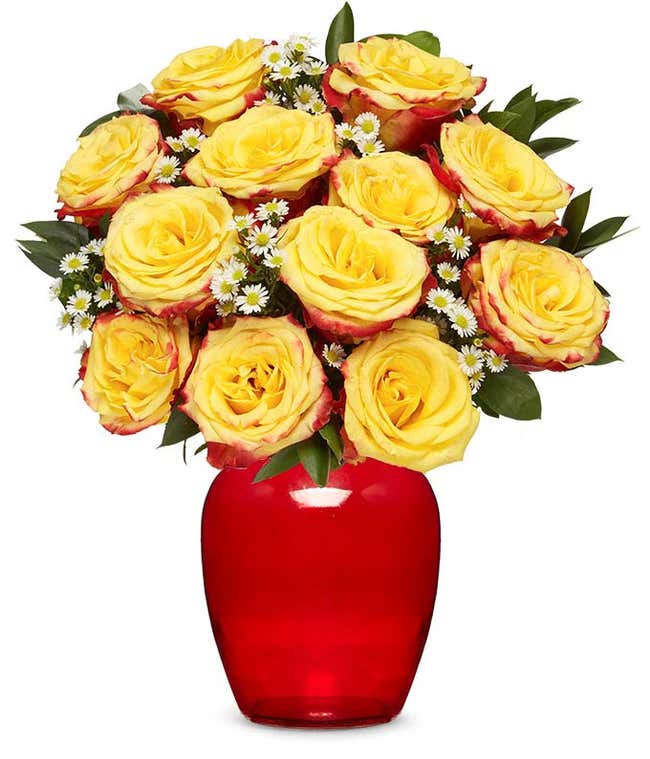 One Dozen Bi-Colored Roses