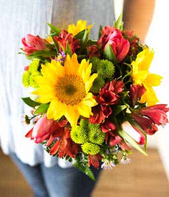 Learn about why we have flowers