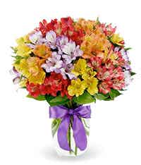 Mixed alstromeria in a vase