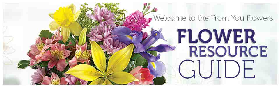 Flower Resource Guide