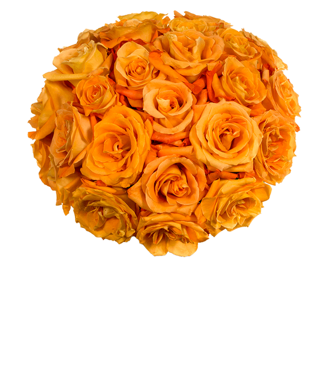 Two Dozen Orange Roses