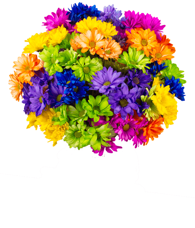 Brilliant Neon Poms