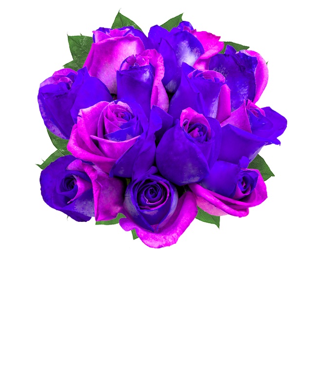 One Dozen Cosmic Roses