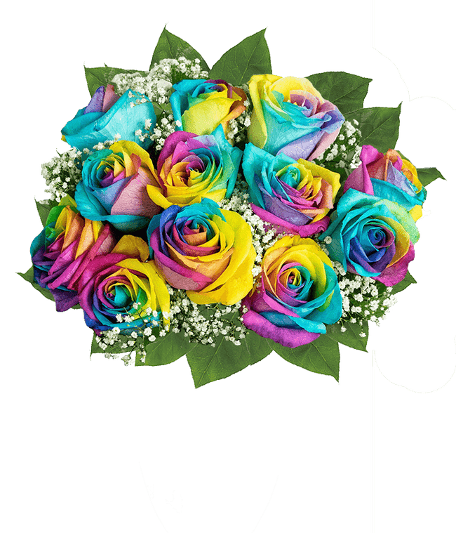 Rainbow flowers
